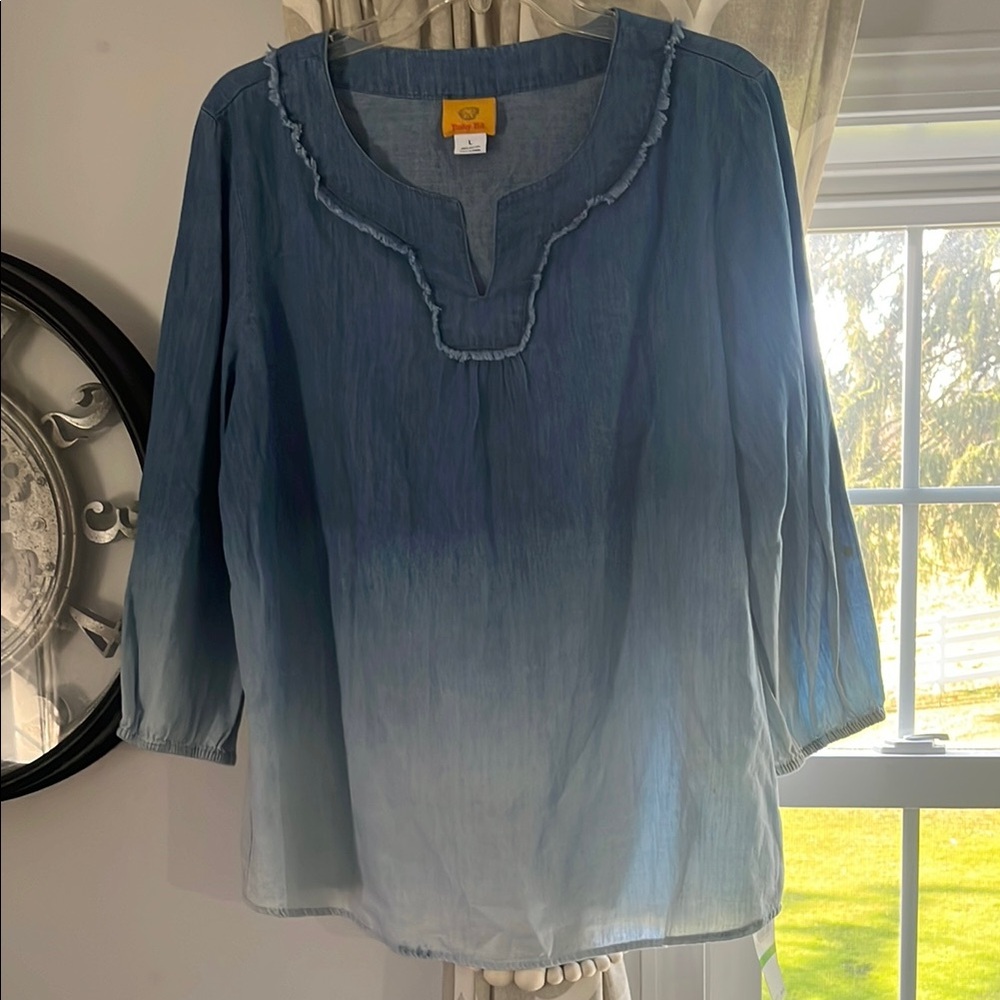 Ruby Rd. Blue Ombre Blouse